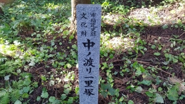 IMG_20240916_093908_800.jpg