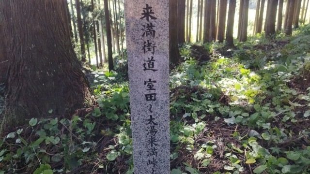 IMG_20240916_094006_800.jpg