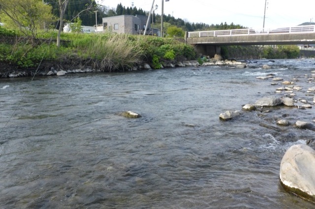 P1030433_800.JPG