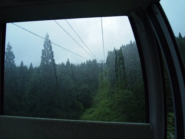 P7240893.jpg