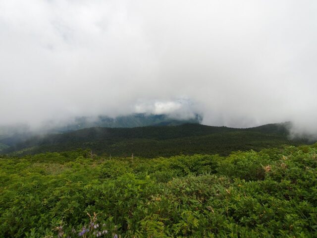 P7240912.jpg