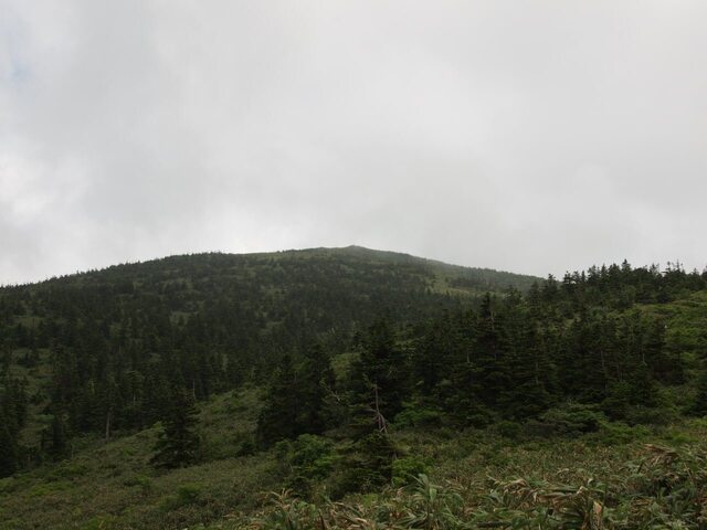 P7240922.jpg