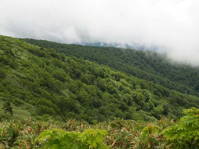 P7240926.jpg