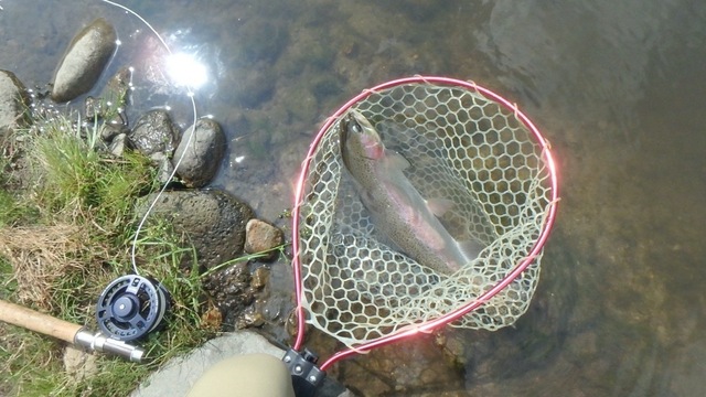 P8300742_1024.JPG