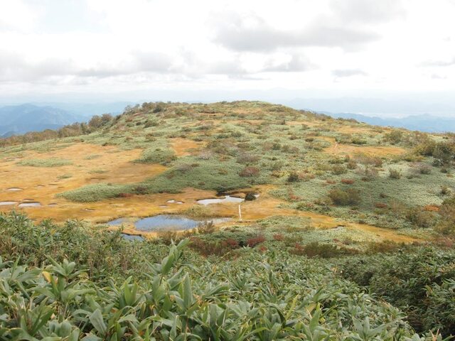 P9251460.jpg