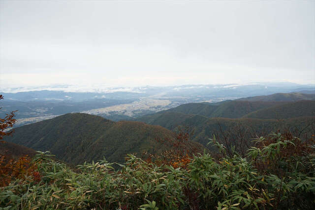 S_DSC01595.JPG