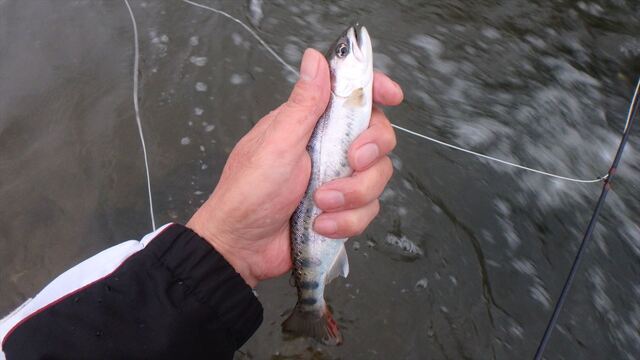 S_P5280246.JPG