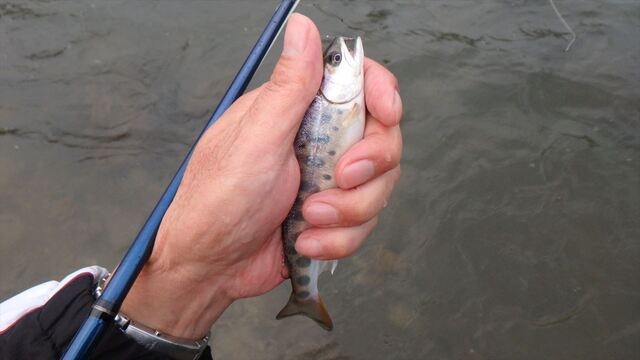 S_P7010301.JPG