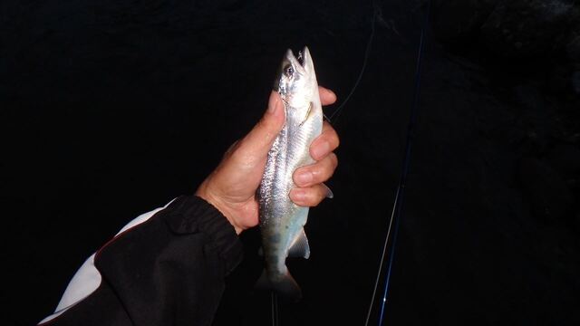 S_P7010303.JPG