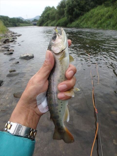 S_P8150412.JPG